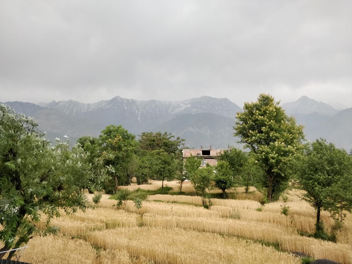 D'Polo Club&Spa Resort Dharamshala Esterno foto