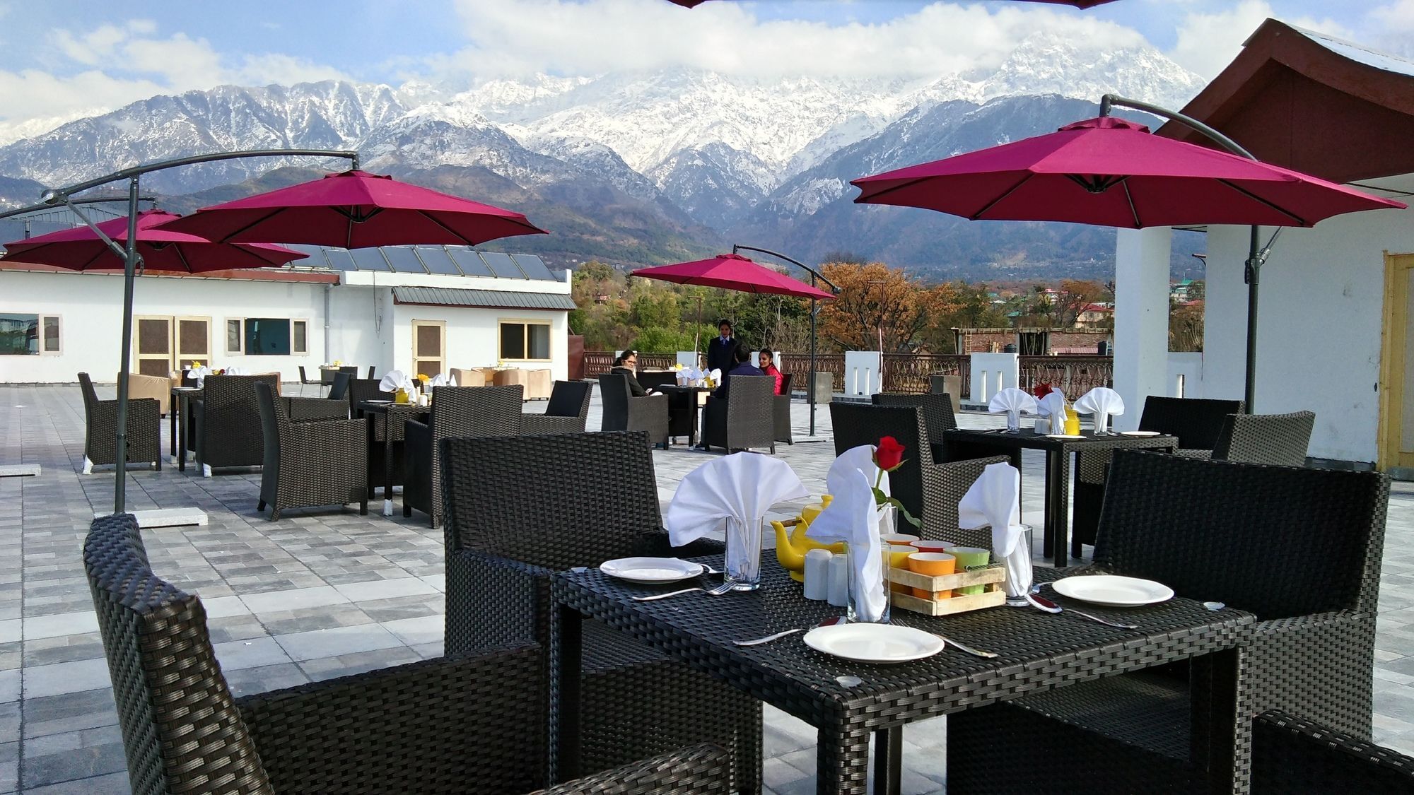 D'Polo Club&Spa Resort Dharamshala Esterno foto