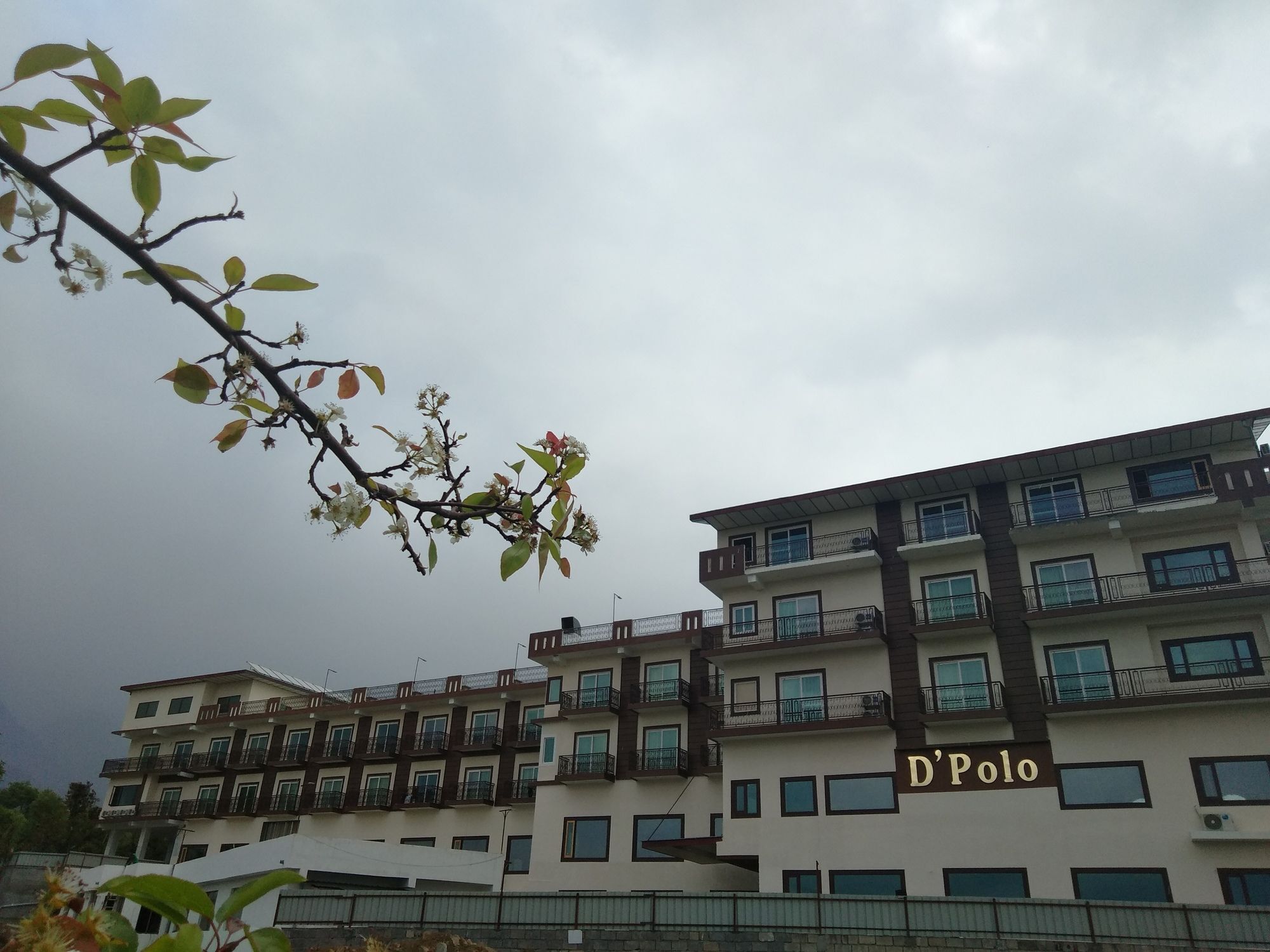 D'Polo Club&Spa Resort Dharamshala Esterno foto